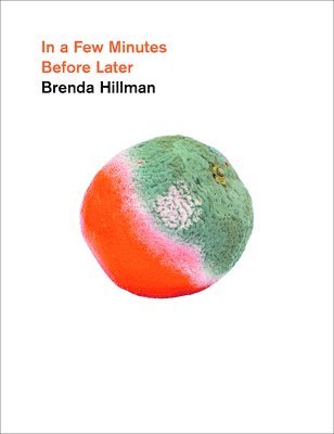 Brenda Hillman - In a Few Minutes Before Later, Inbunden