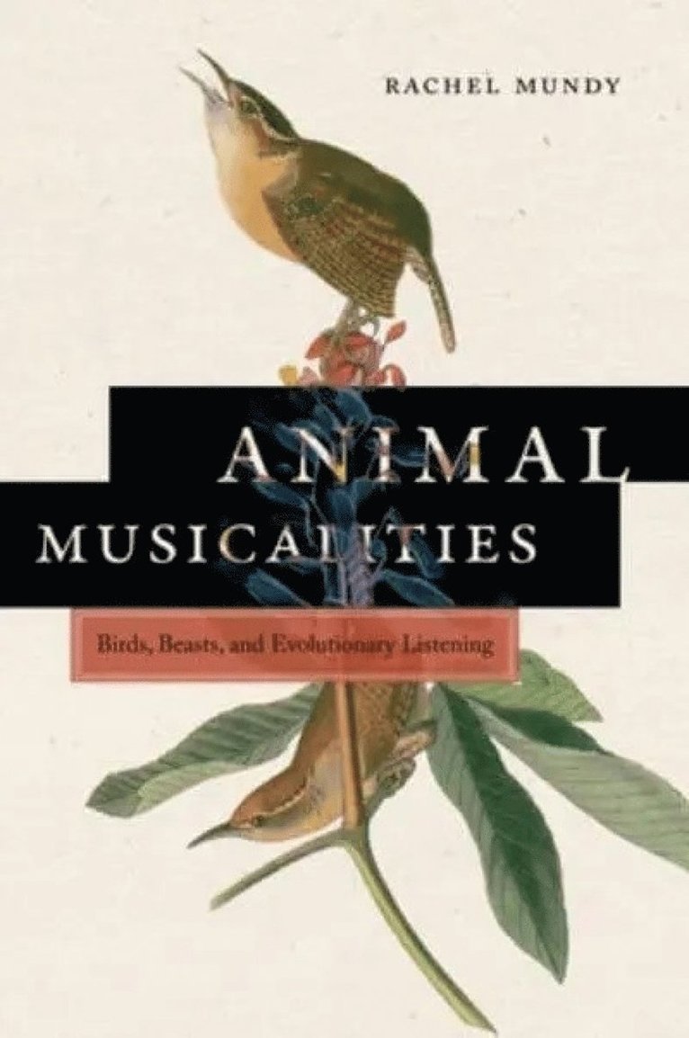 Rachel Mundy - Animal Musicalities, Häftad