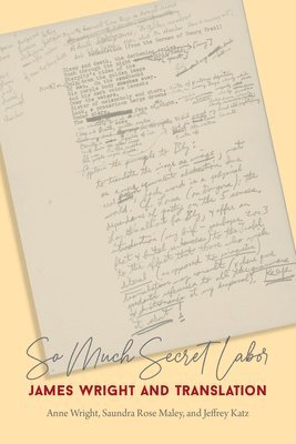 Anne Wright, Saundra Rose Maley, Jeffrey Katz - So Much Secret Labor, Häftad