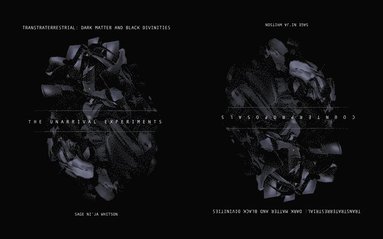 bokomslag Transtraterrestrial: Dark Matter and Black Divinities