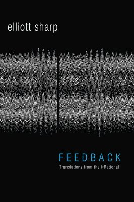 bokomslag Feedback: Translations from the Irrational