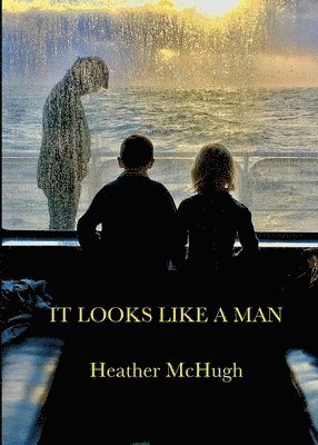 Heather McHugh, Heather Mchugh - It Looks Like a Man, Häftad