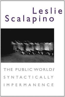 The Public World/Syntactically Impermanence 1