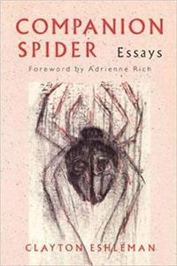 bokomslag Companion Spider