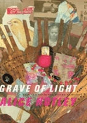 Alice Notley - Grave of Light, Häftad