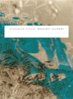 Elizabeth Willis - Meteoric Flowers, Häftad