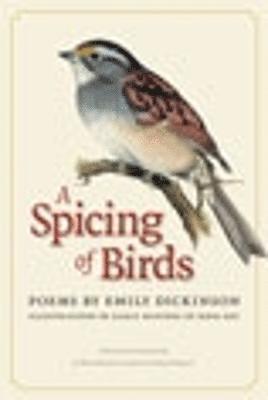 A Spicing of Birds 1