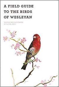 bokomslag A Field Guide of the Birds of Wesleyan