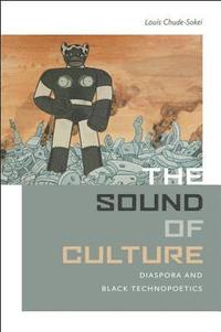 bokomslag The Sound of Culture