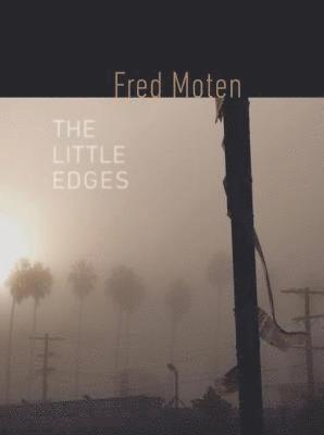 Fred Moten - Little Edges, Häftad
