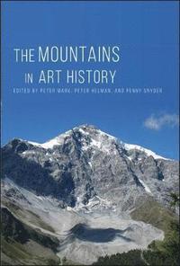 bokomslag The Mountains in Art History