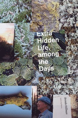 Extra Hidden Life, among the Days 1
