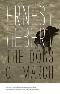 Dogs of March 1