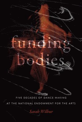 bokomslag Funding Bodies