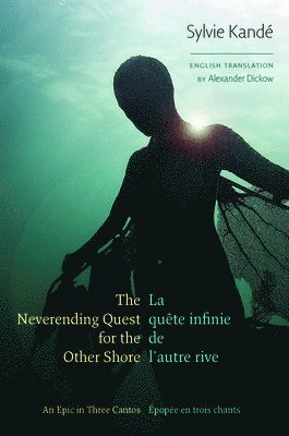 Sylvie Kandé - Neverending Quest for the Other Shore, Häftad