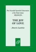 bokomslag Joy of Love