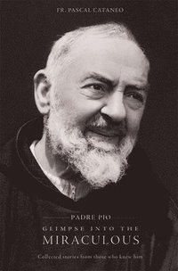 bokomslag Padre Pio: Glimpse Miraculous