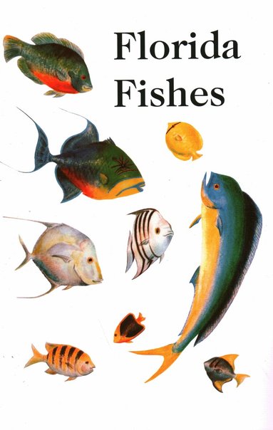 Rube Allyn, Charlie Allyn - Saltwater Florida Fishes, Häftad