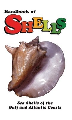 Lula Siekman - Handbook of Shells, Häftad