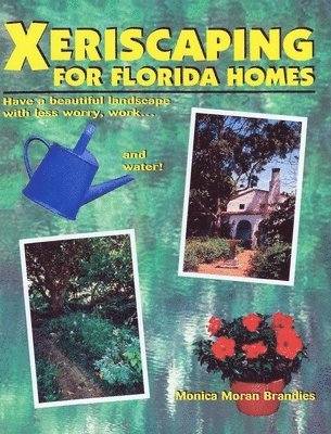 Xeriscaping For Florida Homes