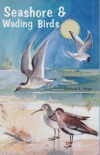 bokomslag Seashore and Wading Birds of Florida