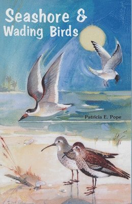 bokomslag Seashore and Wading Birds of Florida