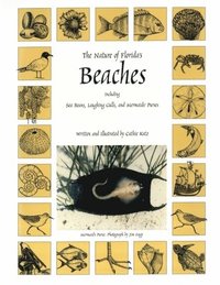 bokomslag Nature Of Florida's Beaches
