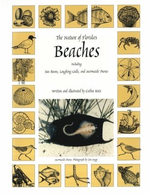 Cathie Katz - Nature of Florida's Beaches, Häftad