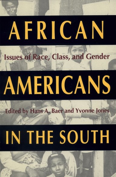 Hans A. Baer, Yvonne Jones - African Americans in the South, Häftad