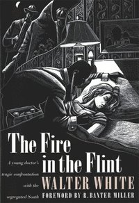 bokomslag The Fire in the Flint