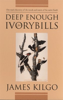 James Kilgo - Deep Enough for Ivorybills, Häftad