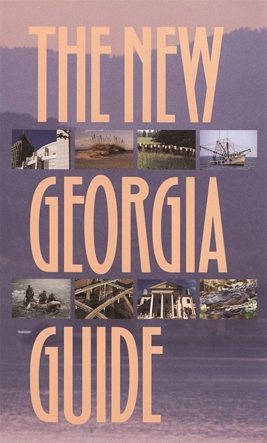 bokomslag New Georgia Guide