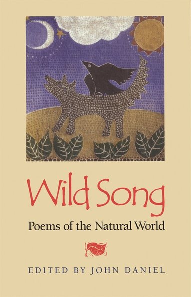 John Daniel - Wild Song, Häftad