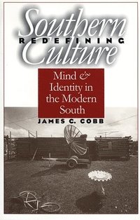 bokomslag Redefining Southern Culture
