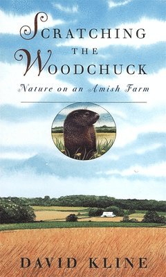 Scratching the Woodchuck 1