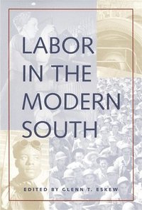 bokomslag Labor in the Modern South