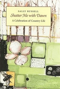 bokomslag Shatter Me with Dawn