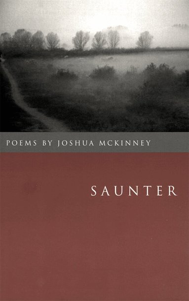 Joshua McKinney - Saunter, Häftad