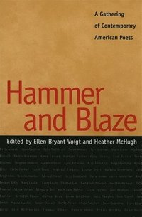 bokomslag Hammer and Blaze