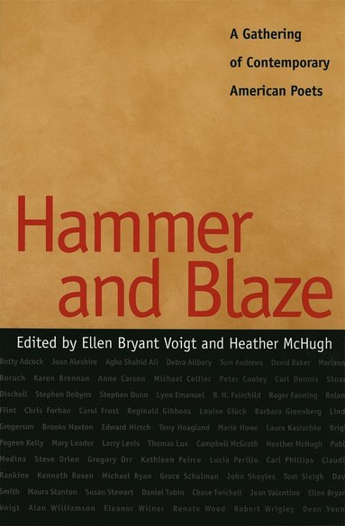 bokomslag Hammer and Blaze