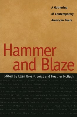 Hammer and Blaze 1