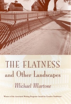 Michael Martone - Flatness and Other Landscapes, Häftad