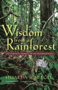 bokomslag Wisdom from a Rainforest