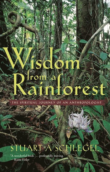 bokomslag Wisdom from a Rainforest