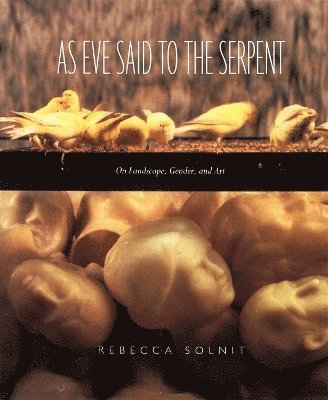 Rebecca Solnit - As Eve Said to the Serpent: On Landscape, Gender, and Art, Häftad
