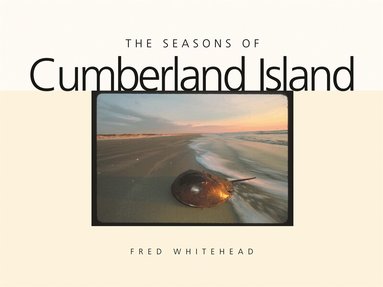 Fred Whitehead - Seasons of Cumberland Island, Inbunden