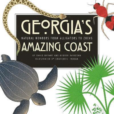 Georgia's Amazing Coast 1