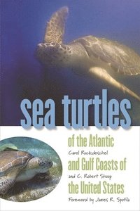 bokomslag Sea Turtles of the Atlantic and Gulf Coasts of the United States