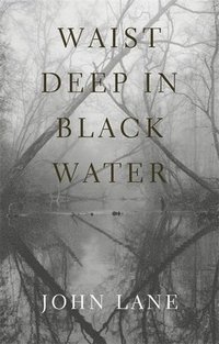 bokomslag Waist Deep in Black Water