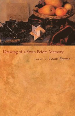 Laynie Browne - Drawing of a Swan Before Memory, Häftad